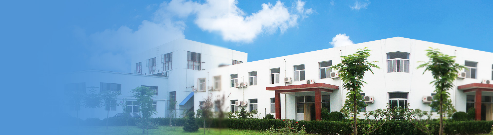  Good Strategic Partnership